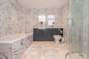 THE CONIFERS- click for photo gallery